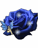Bel rose ...